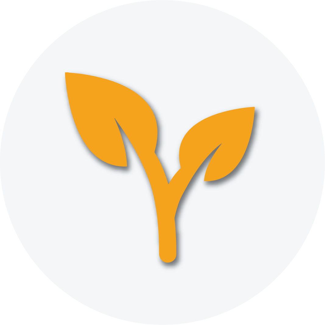 Využívání přírodních zdrojů